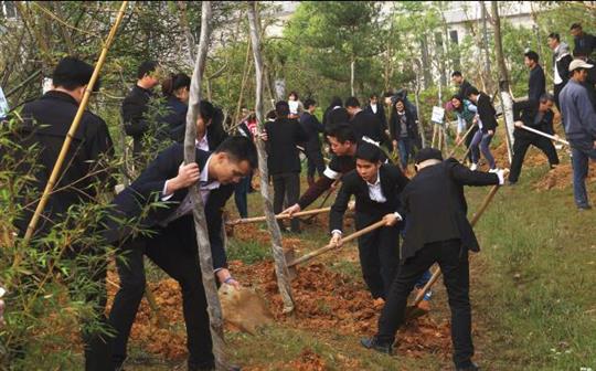 公司新精英參加集體植樹(shù)活動(dòng)